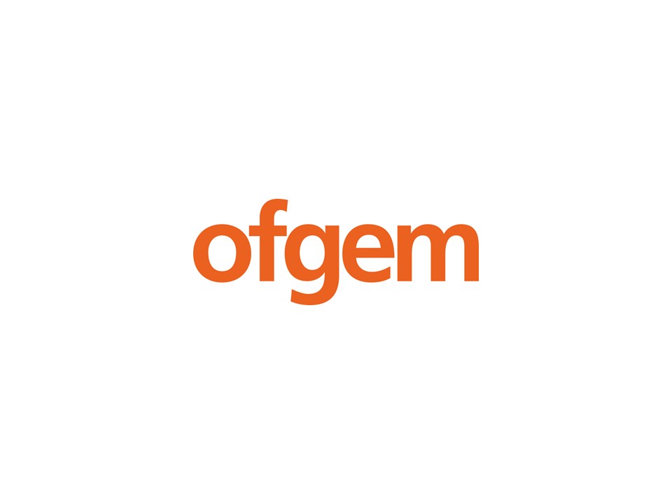 Chief Economist, Ofgem (GOREF)